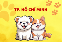 DANH SÁCH ĐẠI LÝ Ở HỒ CHÍ MINH