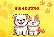 DANH SÁCH ĐẠI LÝ Ở BÌNH DƯƠNG