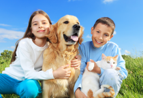 CHĂM SÓC SỨC KHỎE TOÀN DIỆN CHO CHÓ, MÈO NGOÀI CHẾ ĐỘ DINH DƯỠNG.