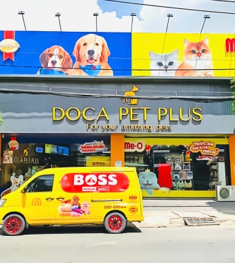 THE BOSS & ĐỐI TÁC