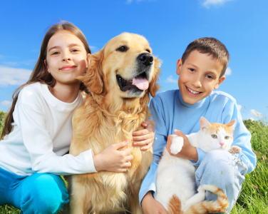 CHĂM SÓC SỨC KHỎE TOÀN DIỆN CHO CHÓ, MÈO NGOÀI CHẾ ĐỘ DINH DƯỠNG.