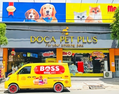 THE BOSS & ĐỐI TÁC