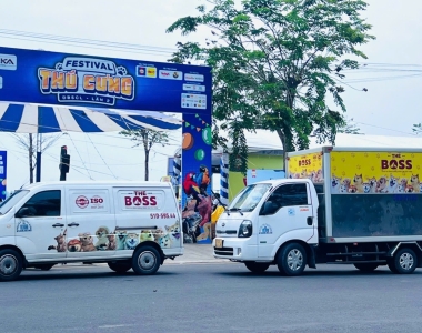 THE BOSS & PHIÊN HỘI