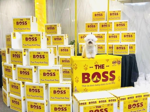 THE BOSS & PHIÊN HỘI