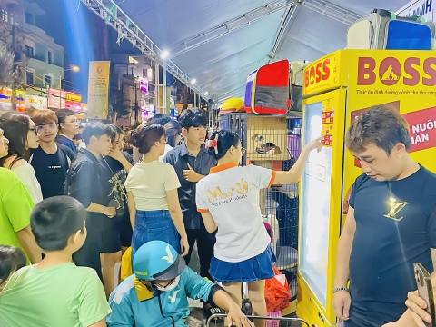 THE BOSS & PHIÊN HỘI