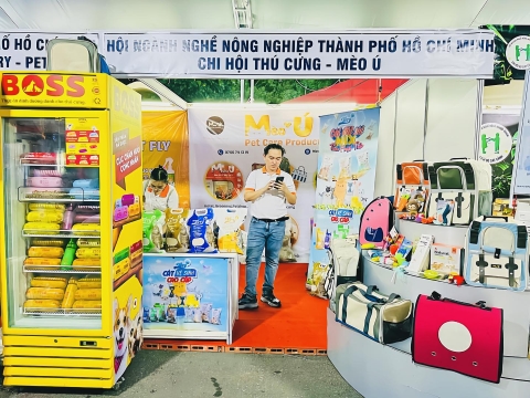 THE BOSS & PHIÊN HỘI