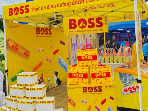 THE BOSS & PHIÊN HỘI