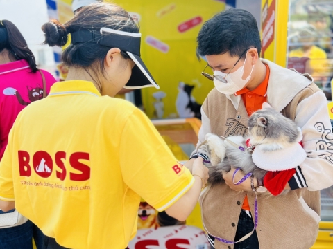 THE BOSS & PHIÊN HỘI