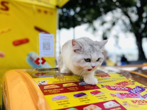 SẴN SÀNG CHO BOSS