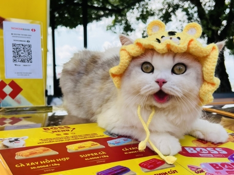 SẴN SÀNG CHO BOSS