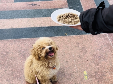 SẴN SÀNG CHO BOSS