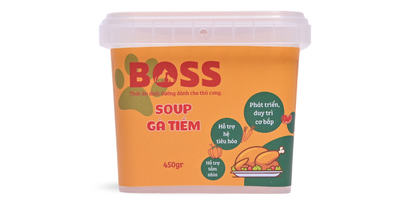 SOUP GÀ TIỀM